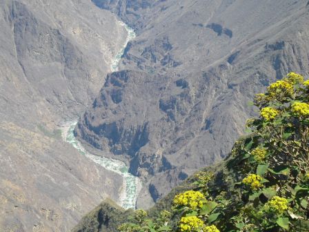 Canyon Apurimac Perou.JPG